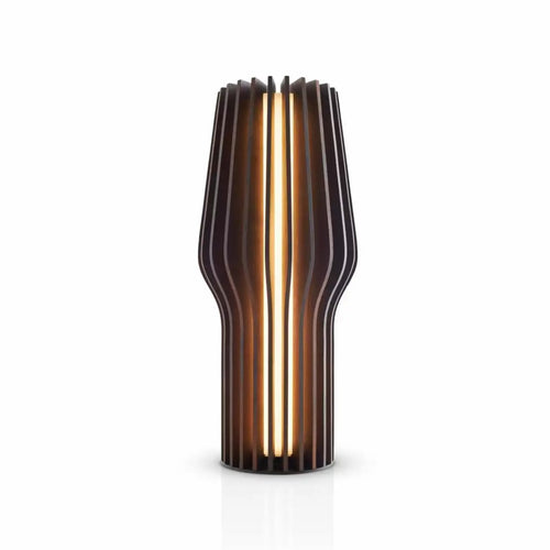 Eva Solo - LED-Tischleuchte, aufladbar, Eichenholz, 28 cm