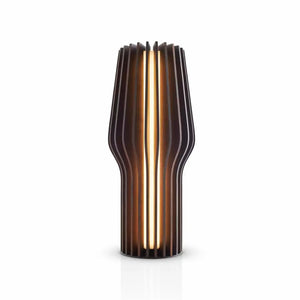 Eva Solo - LED-Tischleuchte, aufladbar, Eichenholz, 28 cm