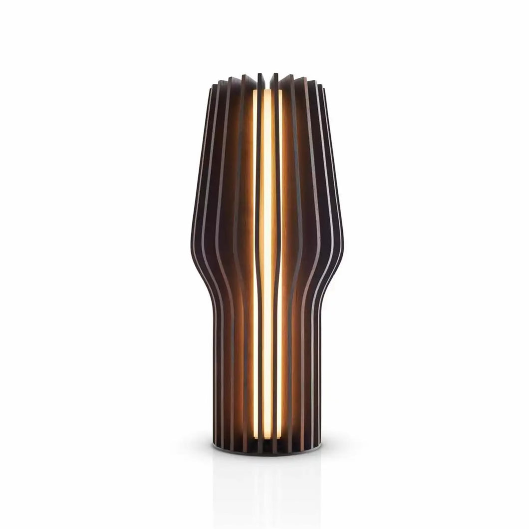 Eva Solo - LED-Tischleuchte, aufladbar, Eichenholz, 28 cm