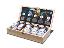Laden Sie das Bild in den Galerie-Viewer, SEAL GIN - Tasting Box